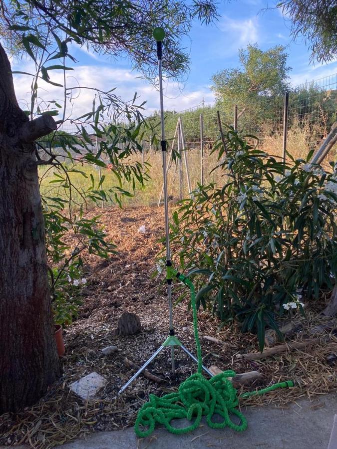 شقة La Casa Del Gelso Tonnara di Bonagia المظهر الخارجي الصورة